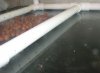 Sideview of manifold.jpg Sideview of manifold.jpg