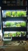 2012-07-08_11-22-32_399.jpg 2012-07-08_11-22-32_399.jpg