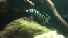 uploadfromtaptalk1355148629633.jpg uploadfromtaptalk1355148629633.jpg