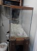 29 gal end veiw.jpg