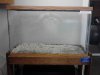 29 gal front veiw.jpg