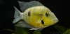 DSC_0388SC.jpg DSC_0388SC.jpg
