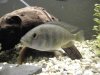 DSCN4408.jpg DSCN4408.jpg