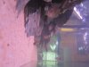 IMG_1481.jpg IMG_1481.jpg