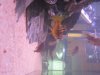 IMG_1482.jpg IMG_1482.jpg