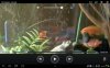 Screenshot_2013-05-30-17-01-46.jpg