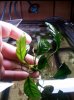 20130528_114049 (600x800).jpg 20130528_114049 (600x800).jpg
