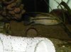 100_0355.jpg 100_0355.jpg