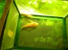 DSCN4504.jpg
