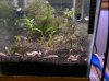 DSCN4498.jpg