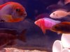 2013-03-11_19-36-43_189.jpg 2013-03-11_19-36-43_189.jpg