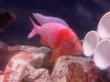2013-03-11_19-36-50_882.jpg 2013-03-11_19-36-50_882.jpg