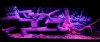 uploadfromtaptalk1390094599512.jpg uploadfromtaptalk1390094599512.jpg