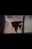 ImageUploadedByMonsterAquariaNetwork1390852906.728785.jpg ImageUploadedByMonsterAquariaNetwork1390852906.728785.jpg