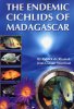 endemic cichlids of madagascar.jpg