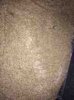 ImageUploadedByMonsterAquariaNetwork1394671861.393362.jpg ImageUploadedByMonsterAquariaNetwork1394671861.393362.jpg