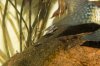 Ptycho babies-0219.jpg