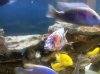 20140627_072450.jpg 20140627_072450.jpg