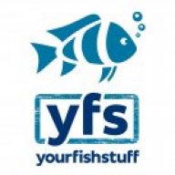 Your Fish Stuff Aquacarium Pre Orders Capital Cichlid Association