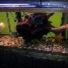 my125gallon