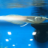 Alexander_L