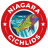 Niagara Cichlids