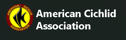 American Cichlid Association