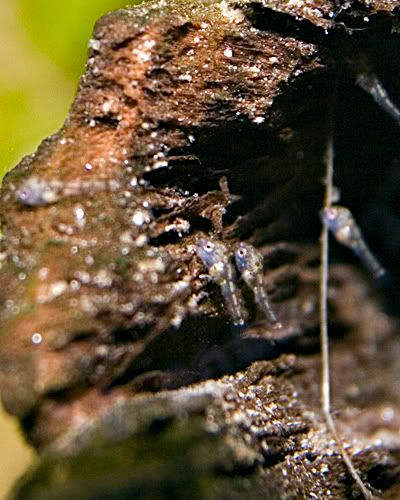 IMG_2521es.jpg