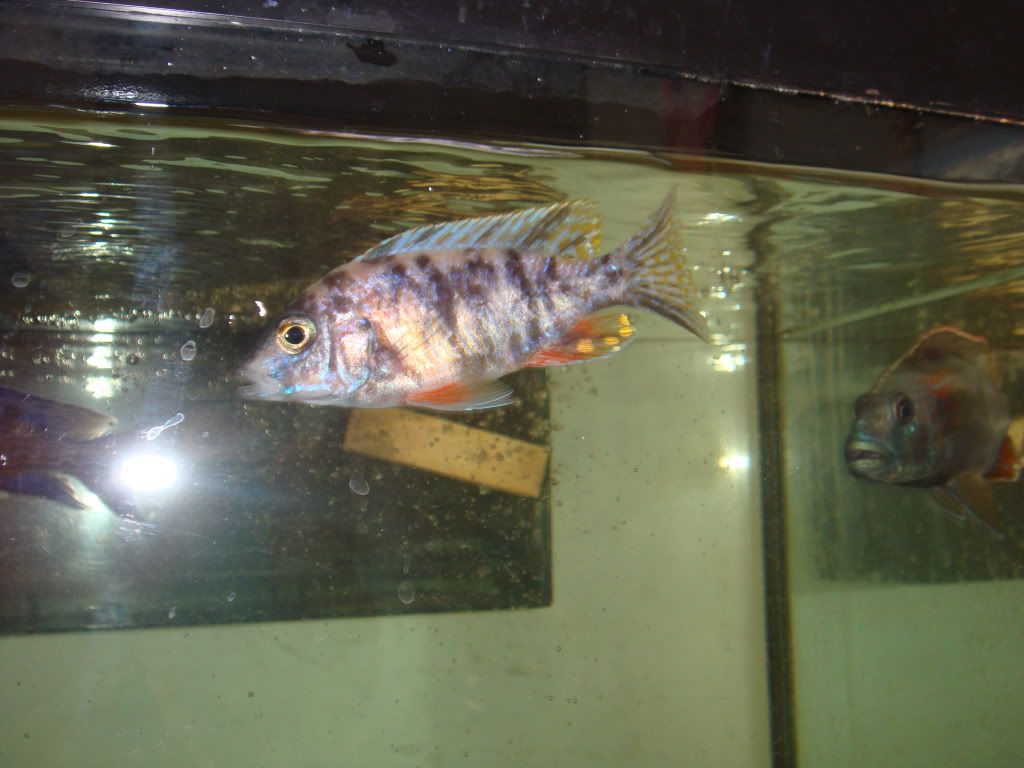DSC05002.jpg