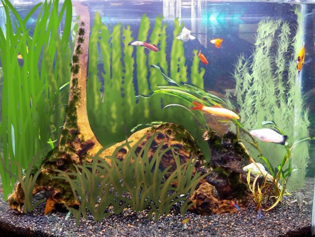 Reeds-Tank_zpsab84f893.jpg