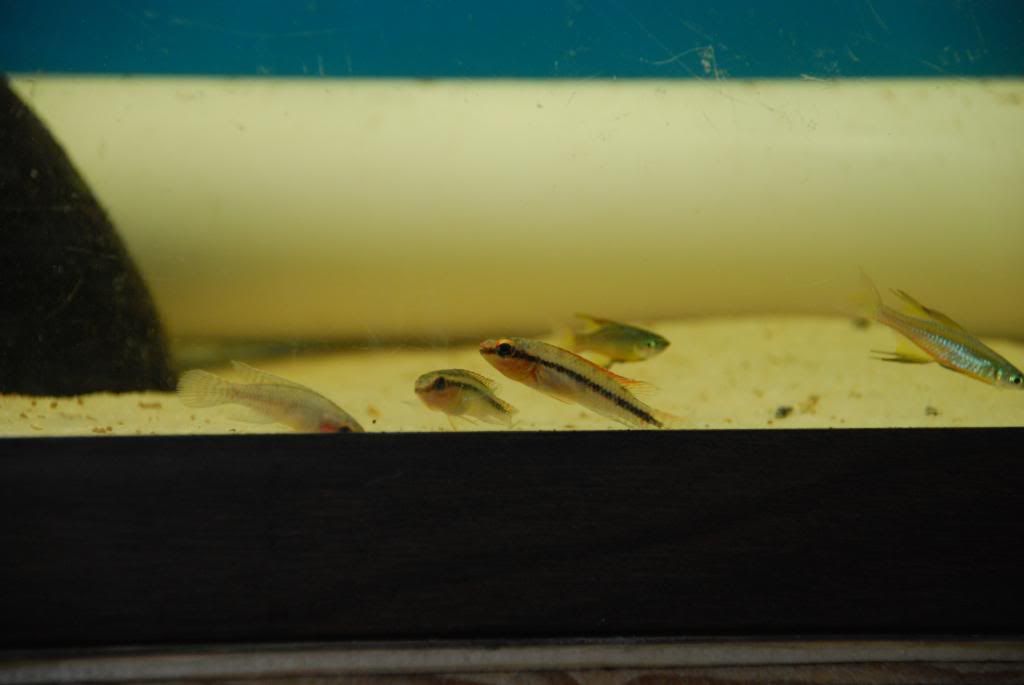 DSC_0623.jpg