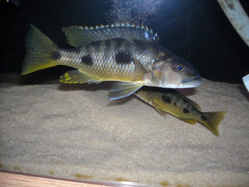 september2009041.jpg