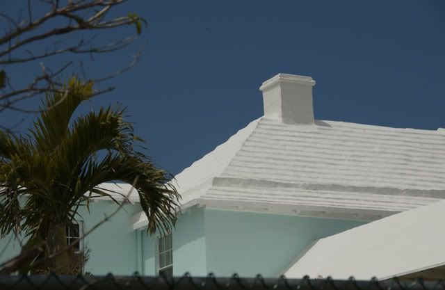 roof_3018.jpg