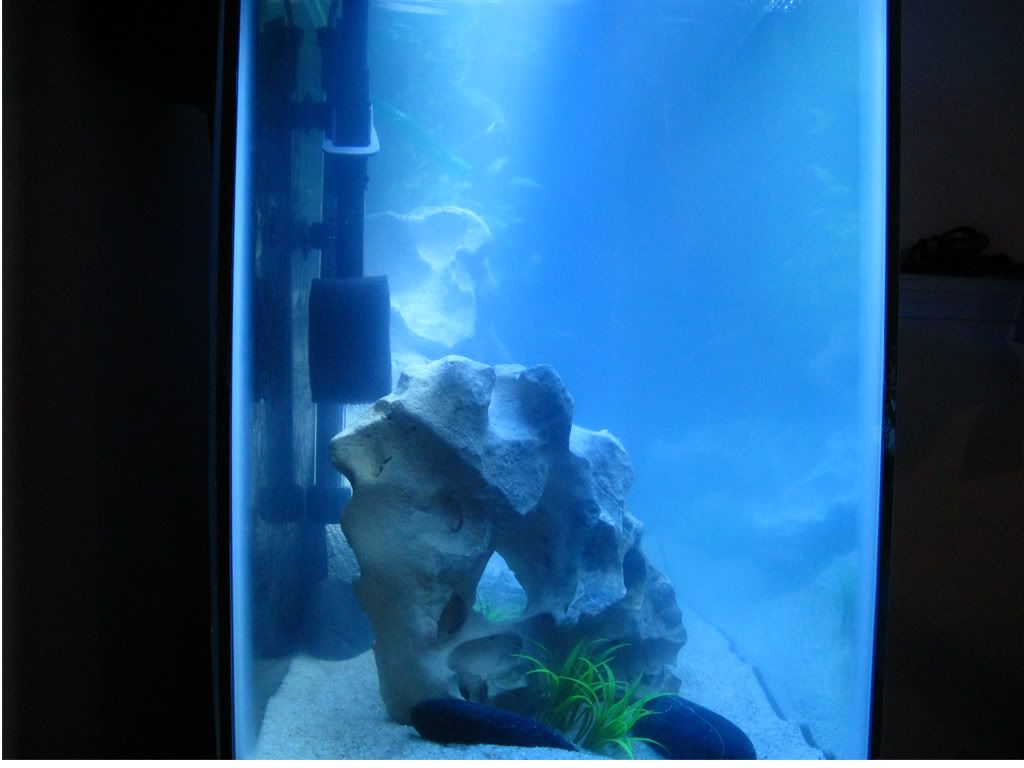 tank5-haze.jpg