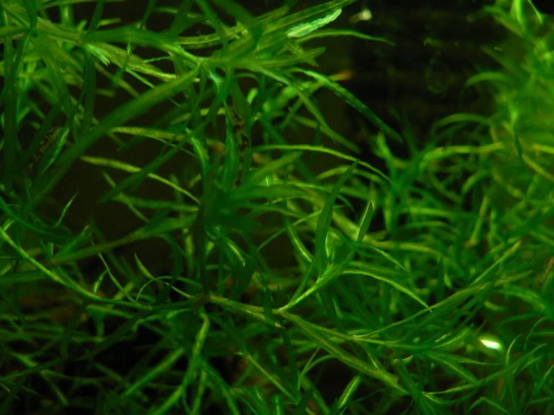 P1030633.jpg