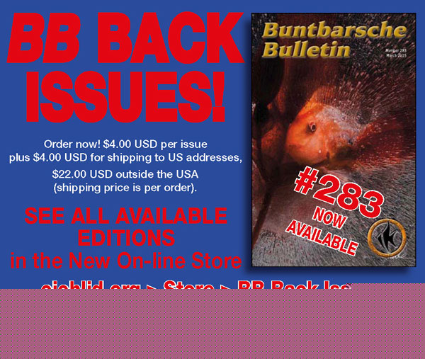 BBBack2016v2.jpg