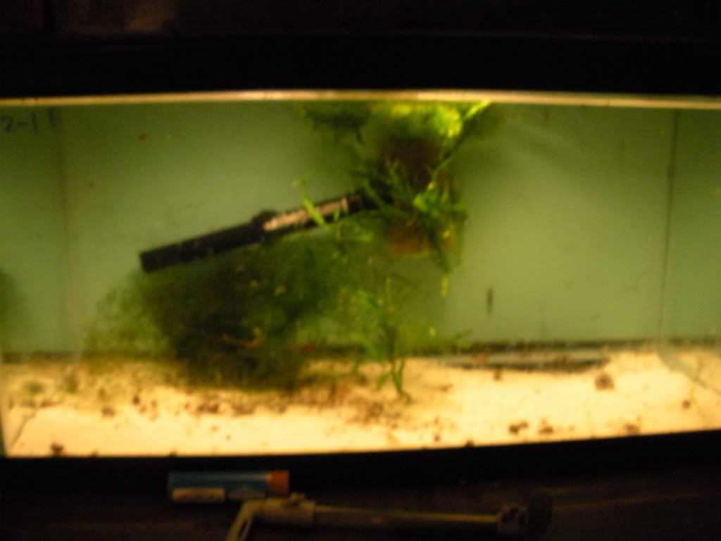 Picture025.jpg