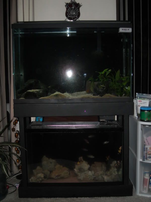 45G29G.jpg