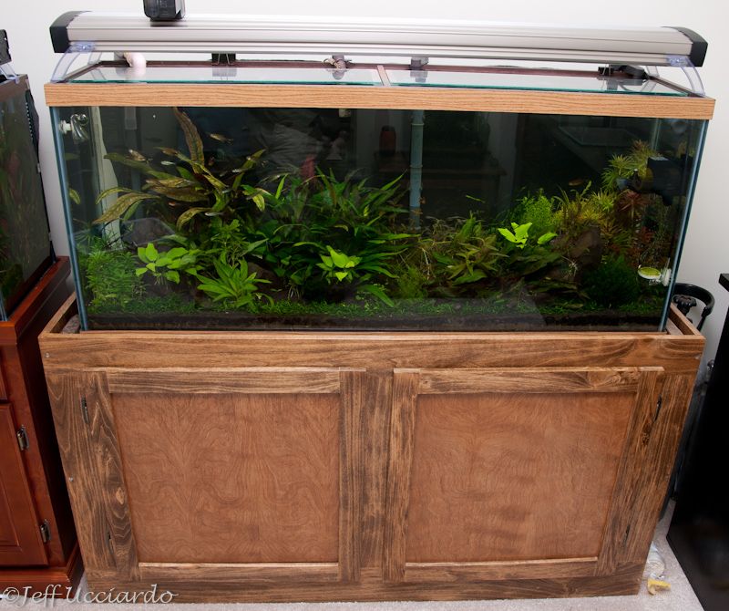 13_55_gallon_sale_July102013_zps566ff04b.jpg
