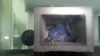 2013-10-20_19-13-20_277.jpg