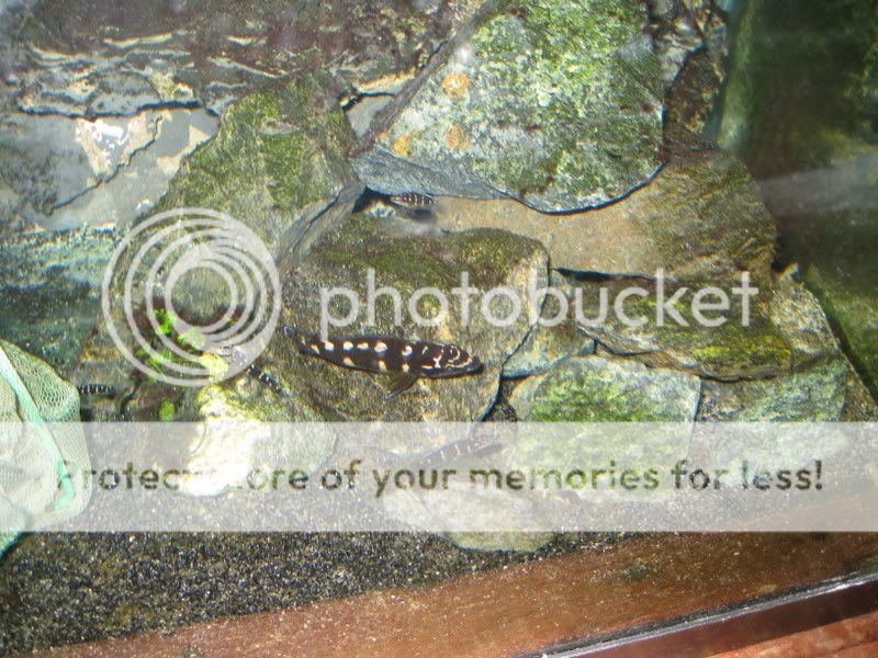 IMG_1296.jpg