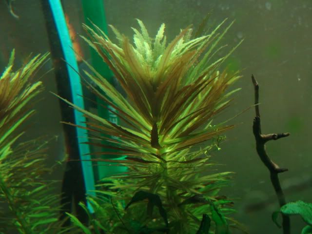 DSC04317.jpg