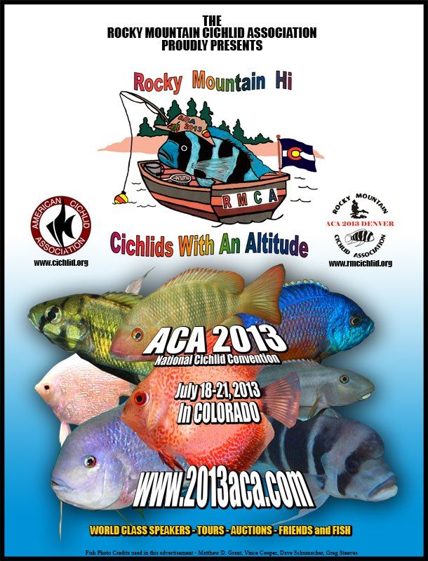 aca_flyer_zpsce06e28a.jpg
