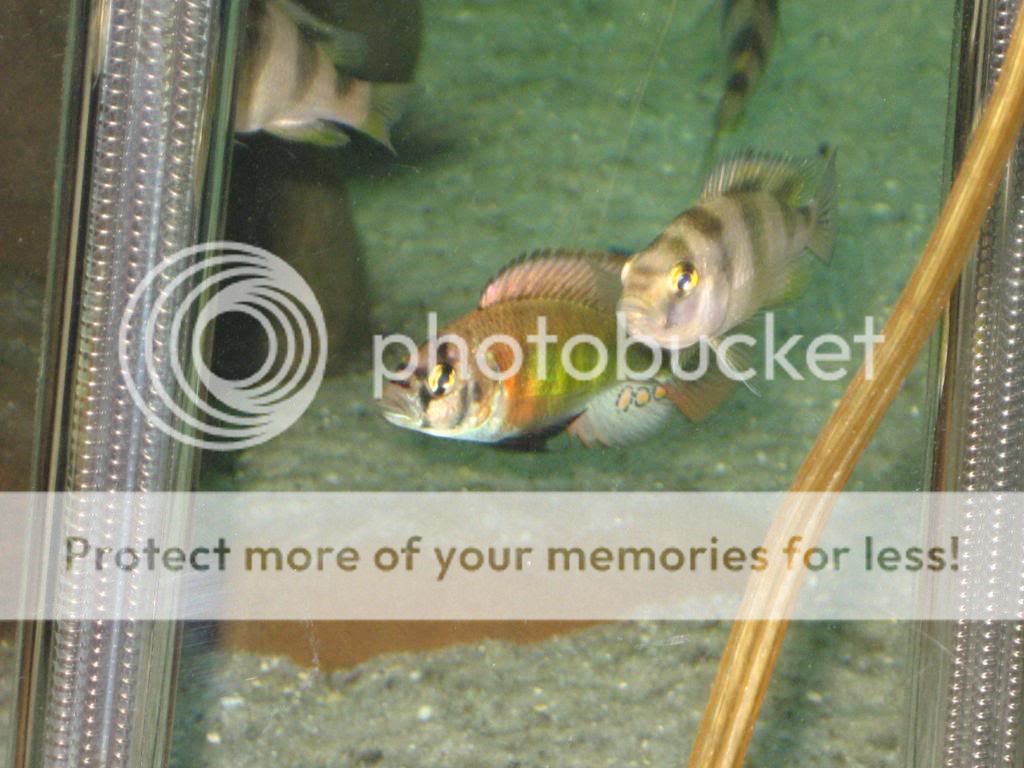 002-10.jpg