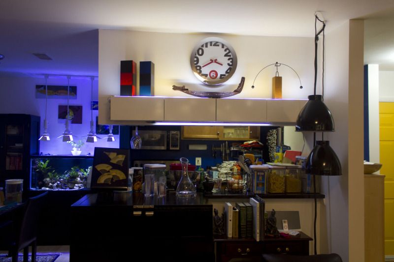 Shelf_zps056e193d.jpg