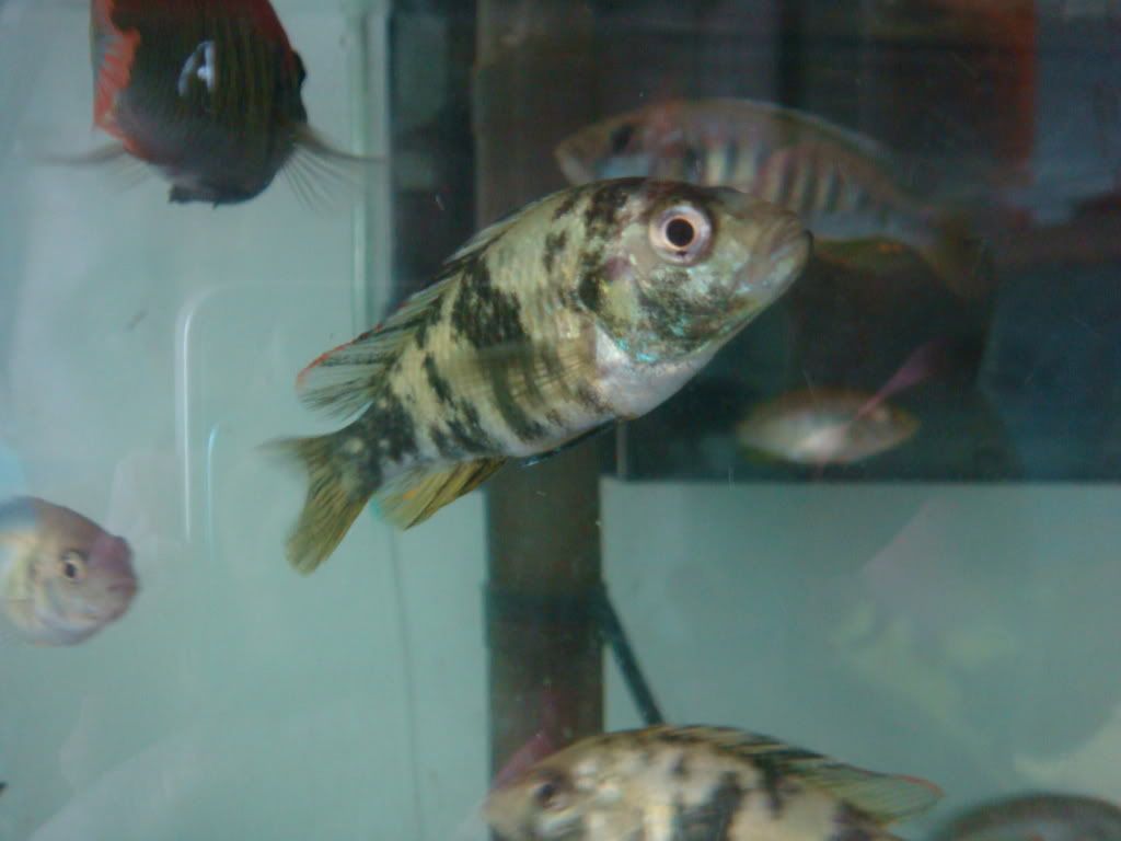 DSC03535.jpg