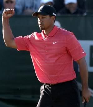 tiger-woods_more.jpg