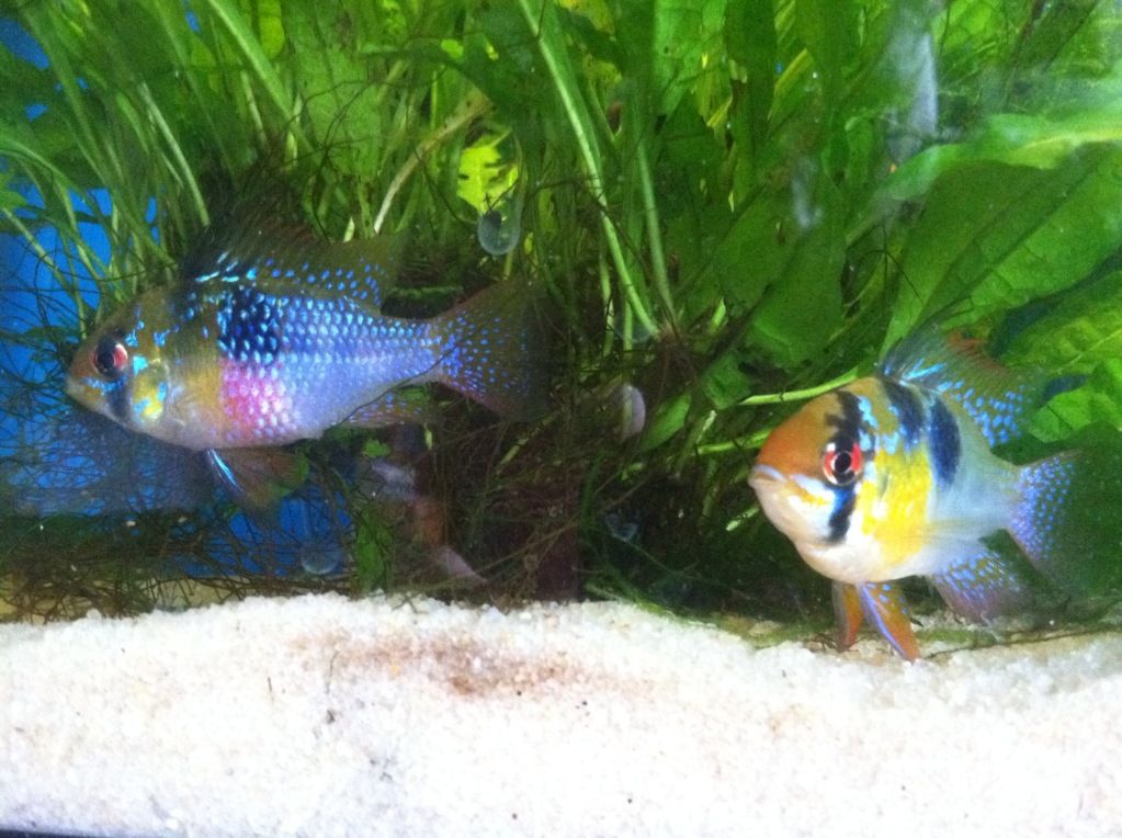 photo-4.jpg