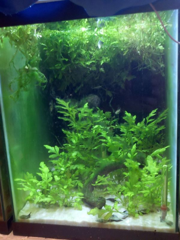 2012-05-05_20-59-02_872.jpg