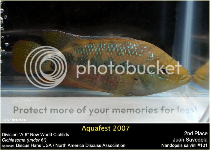 3e2ndtCichlsma6Juan.jpg